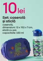 Set: caserolă şi sticlă