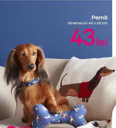 Pernă