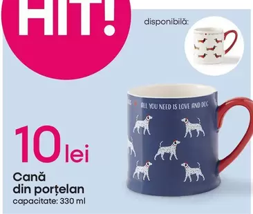 Cană din porţelan
