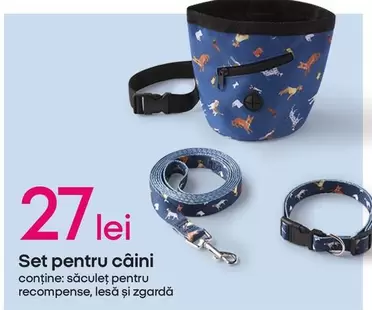 Set pentru câini