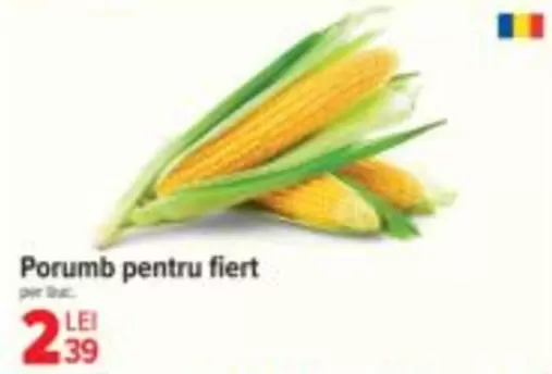 Porumb pentru fiert