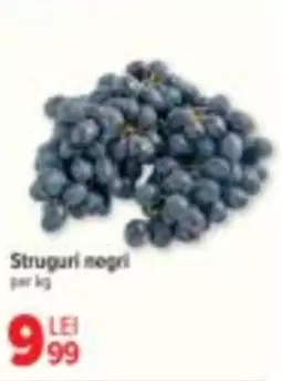 Struguri negri