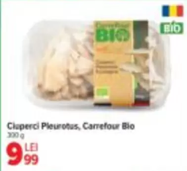 Ciuperci Pleurotus