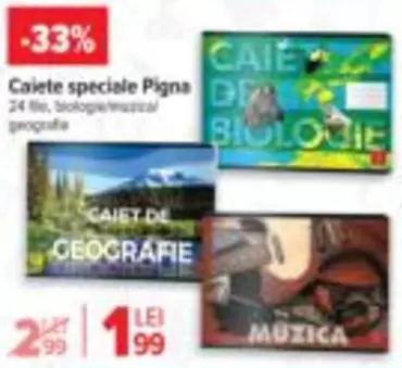 Caiete speciale Pigna