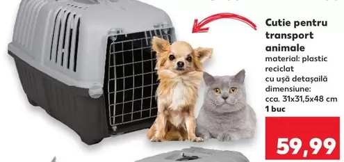 Cutie pentru transport animale