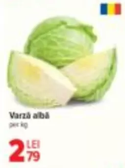 Varză albă