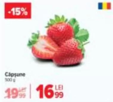 Căpșune