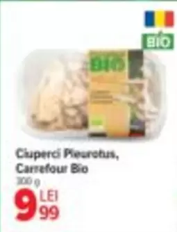 Ciuperci Pleurotus