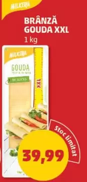 BRÂNZĂ GOUDA XXL