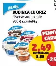 BUDINCĂ CU OREZ