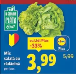 Mix salată cu rădăcină