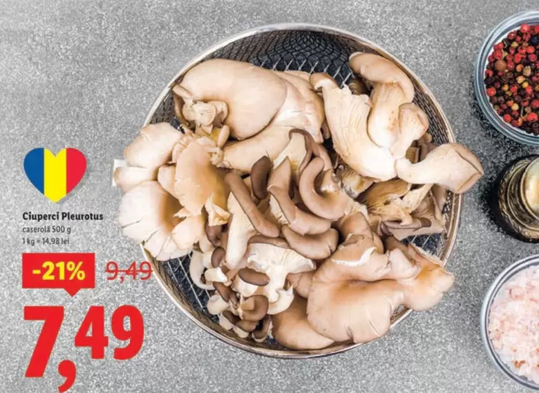 Ciuperci Pleurotus