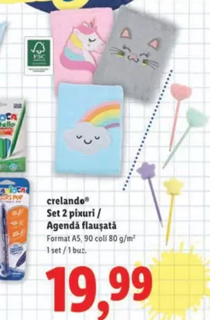 Set 2 pixuri / Agendă flauşată