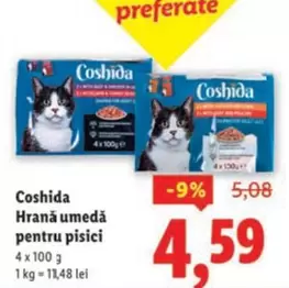 Hrană umedă pentru pisici