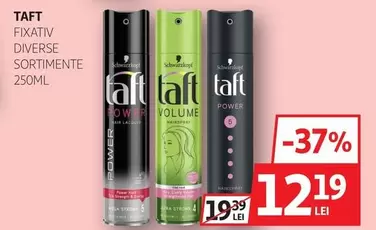 Taft - FIXATIV DIVERSE SORTIMENTE