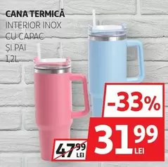 CANA TERMICĂ INTERIOR INOX CU CAPAC ȘI PAI