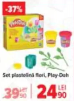 Set plastelină flori