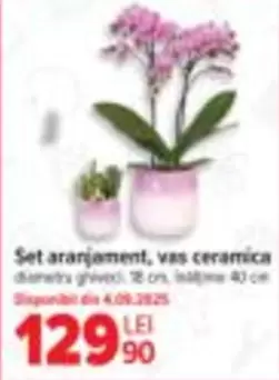 Set aranjament, vas ceramica