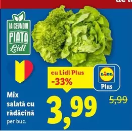 Mix salată cu rădăcină