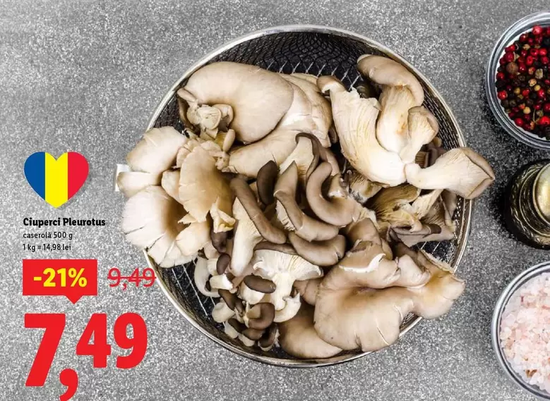 Ciuperci Pleurotus