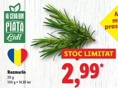 Rozmarin