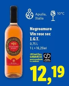 Negroamaro Vin rose sec I.G.T.