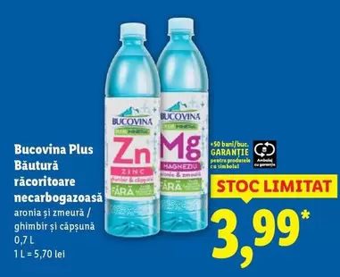 Băutură răcoritoare necarbogazoasă aronia și zmeură / ghimbir şi căpşună