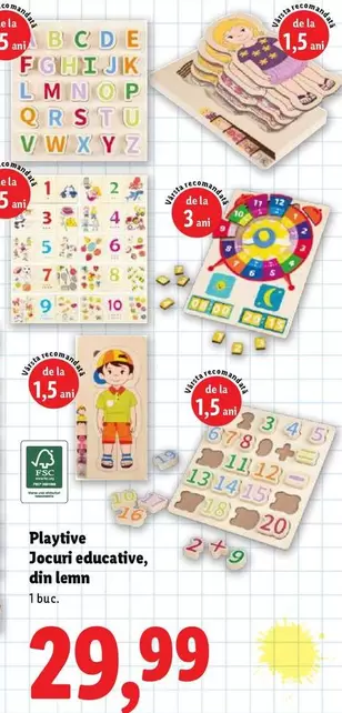 Jocuri educative, din lemn