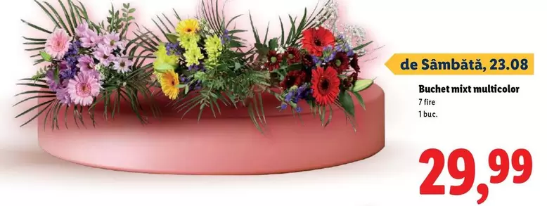 Buchet mixt multicolor