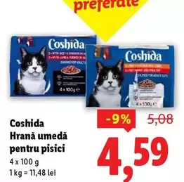 Hrană umedă pentru pisici