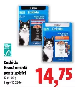 Hrană umedă pentru pisici