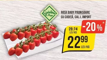 ROSII BABY PRUNIŞOARE CU CODIŢĂ, CALI, IMPORT