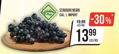 STRUGURI NEGRI