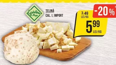 TELINA