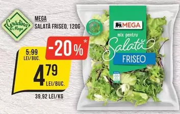 SALATA FRISEO