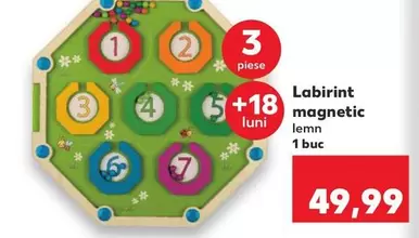Labirint magnetic
