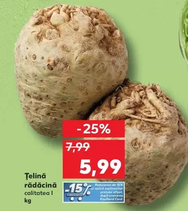 Țelină rădăcină
