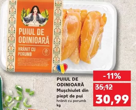 PUIUL DE ODINIOARĂ