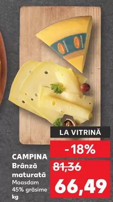 Campina - Brânză maturatã Maasdam 45% grãsime