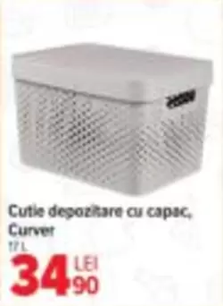 Cutie depozitare cu capac