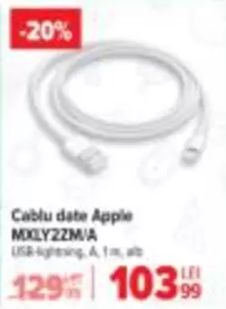 Apple - Cablu date MXLY2ZM/A