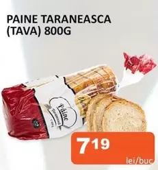 PAINE TARANEASCA (TAVA)