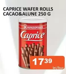 WAFER ROLLS
