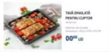TAVĂ DREAPTĂ PENTRU CUPTOR
