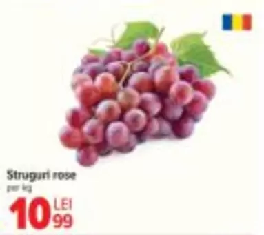Struguri rose