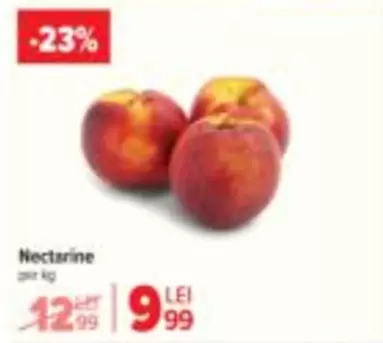 Nectarine