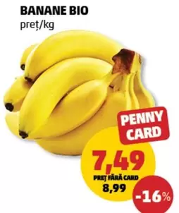 BANANE BIO