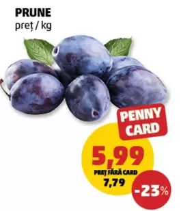 PRUNE