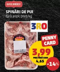SPINĂRI DE PUI