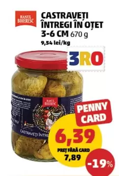 CASTRAVETI ÎNTREGI ÎN OTET